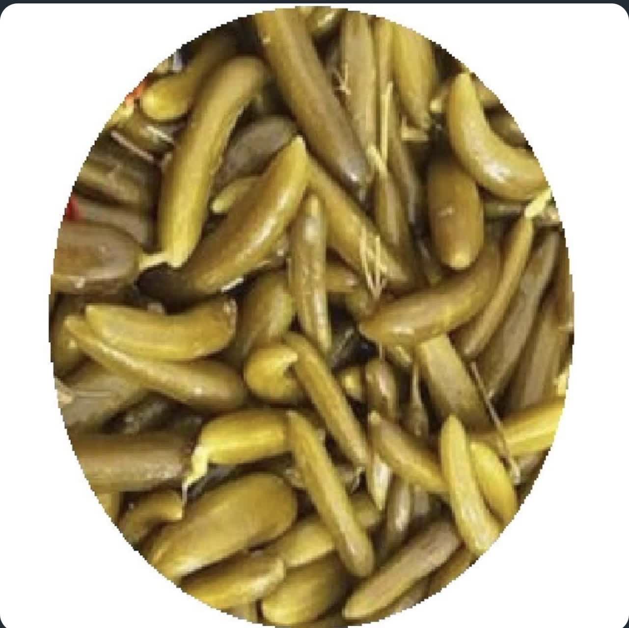 خیار شور